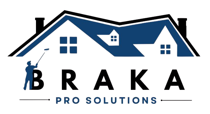 Braka Pro Solutions Logo