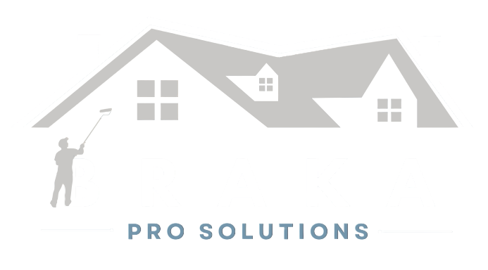 Braka Pro Solutions Logo